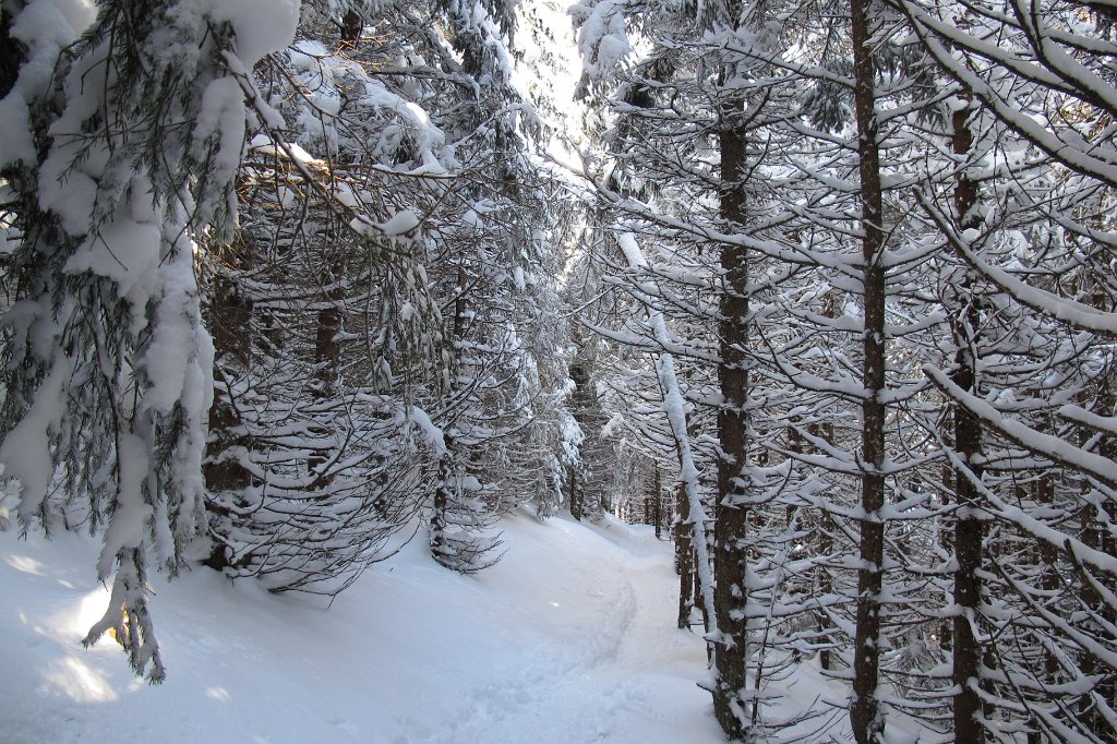 01 der Aufstieg erfolgte von der Teichalm.JPG